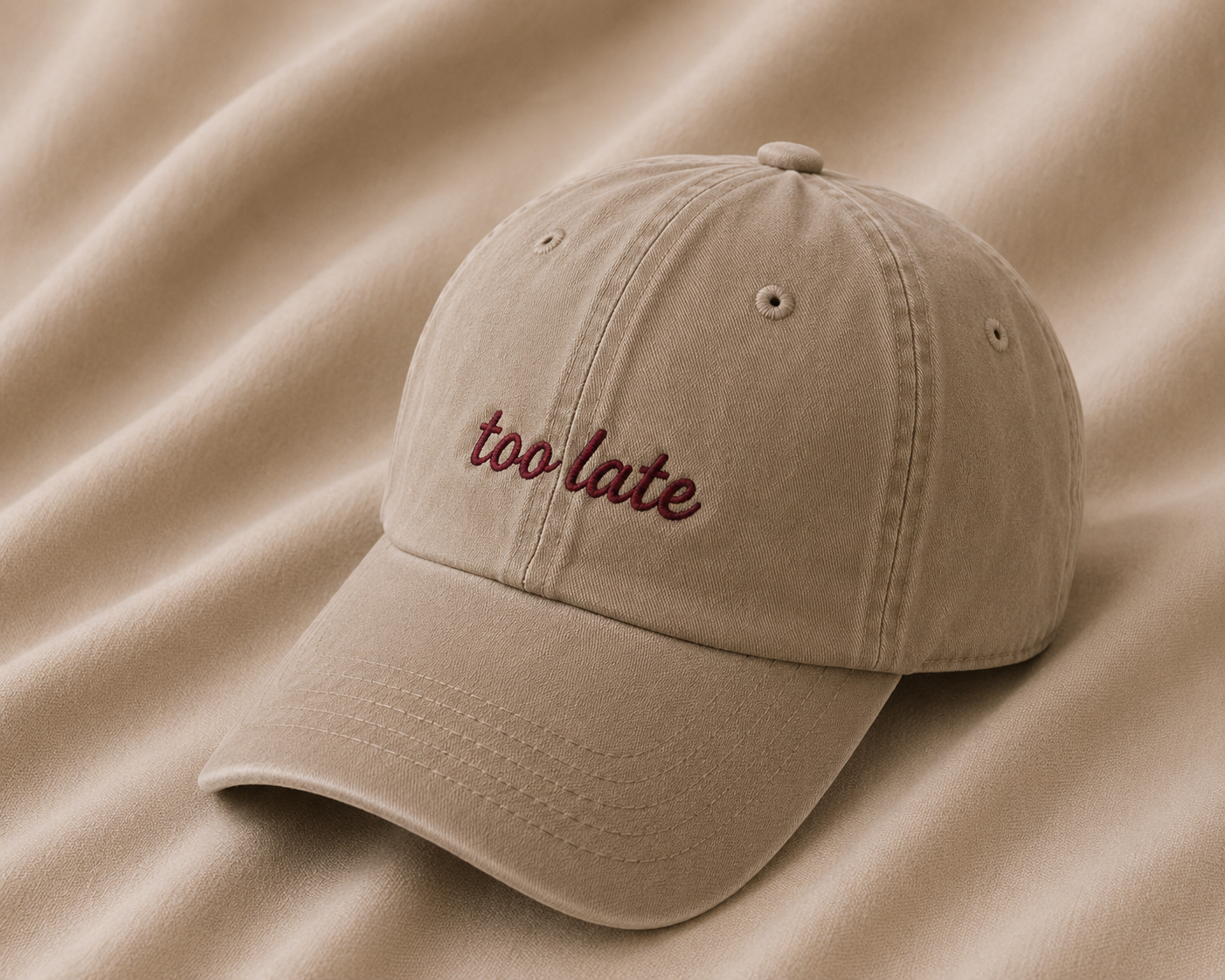 Too Late – Vintage Cap
