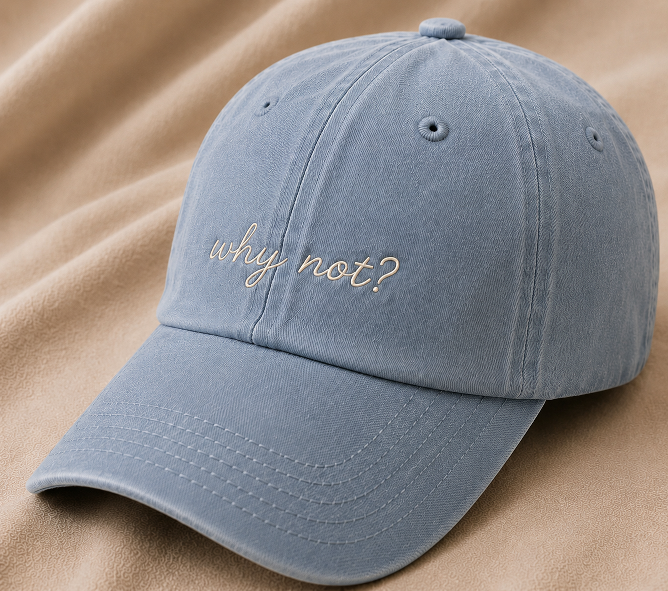 Why Not? – Vintage Burgundy Cap
