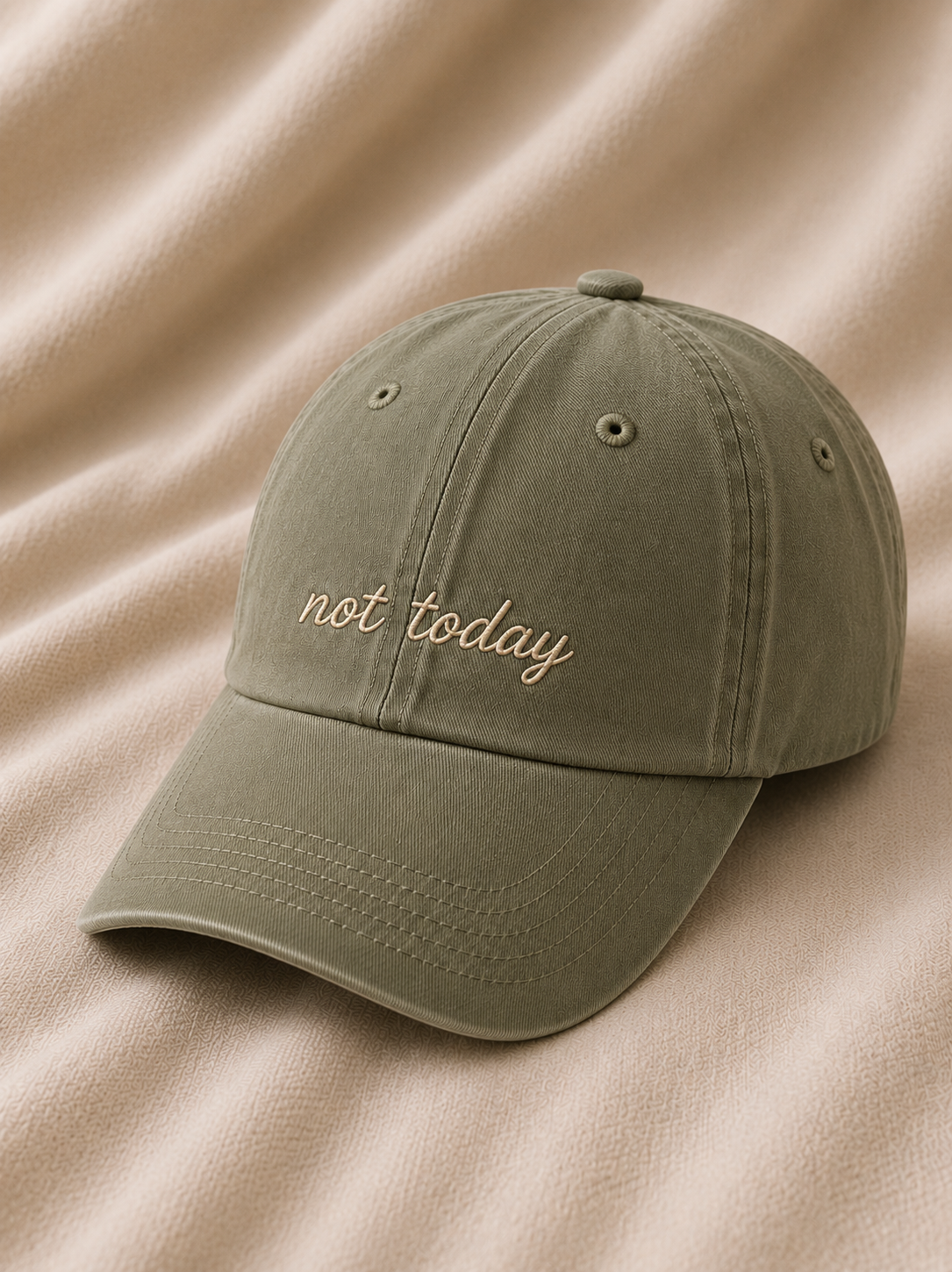 Not Today – Sage Vintage Cap