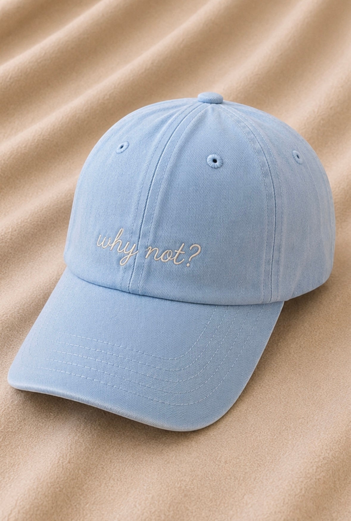 Why Not? – Vintage Burgundy Cap